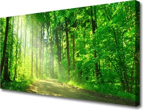 Obraz canvas Ścieżka w Głębi Lasu