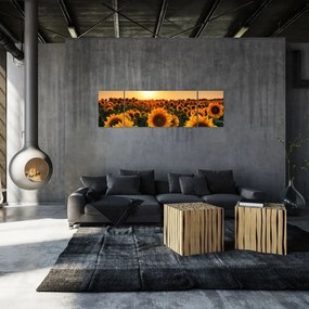 Obraz - Słonecznik (170x50 cm)