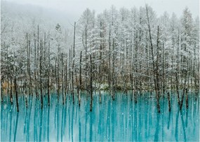 Obraz - Turkusowy staw, Biei, Japonia (70x50 cm)