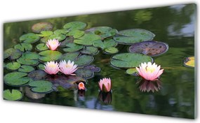 Panel Szklany Subtelna Lilia na Wodzie
