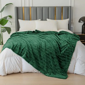 Koc mikropluszowy z wzorem PRESTIGE w kolorze ciemnozielonym Rozmiar: 160 x 200 cm