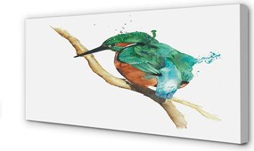 Zdjęcie na płótnie Malowana Kolorowa Papuga