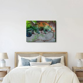 Obraz - Kameleon (70x50 cm)