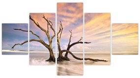Obraz drzewa w oceanie (125x70 cm)