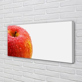Fotoobraz na płótnie Rosa na Czerwonym Jabłku