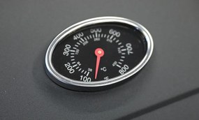 Grill gazowy Royal Gas L – Cattara