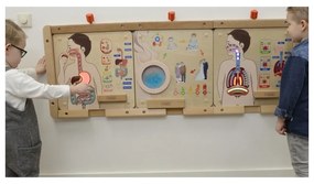 Masterkidz tablica edukacyjna układ trawienny montessori