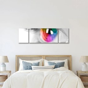 Obraz - Irys (170x50 cm)