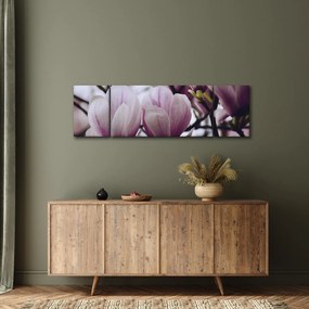 Obraz - Magnolia (170x50 cm)