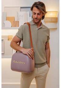 Brązowy pojemnik chłodzący 6 l Classic Gold – Polarbox