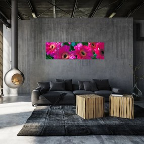 Obraz - kwiaty (170x50 cm)