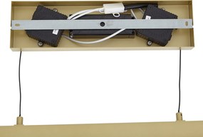 Nowoczesna lampa wisząca mosiężna z przezroczystym szkłem - Catch