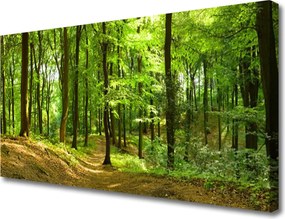 Zdjęcie na płótnie Ścieżka przez Dziki Las