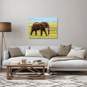 Obraz na szkle słonia (70x50 cm)