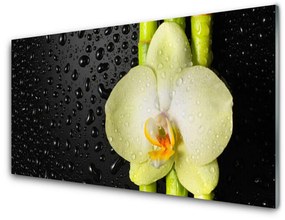 Panel Szklany Bambus Kwiaty Orchidea