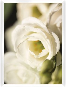 Plakat Flower Wall