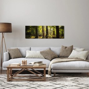Obraz sennego lasu (z zegarem) (90x30 cm)