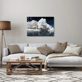 Obraz na szkle - Śnieżnobiałe drzewa (70x50 cm)