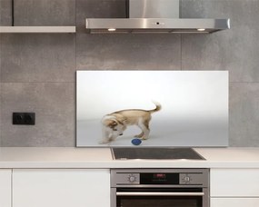 Panel szklany do Kuchni Radosna Zabawa Psa