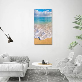 Foto obraz szklany pionowy Tropikalna plaża