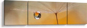 Obraz - Makro kwiat (170x50 cm)