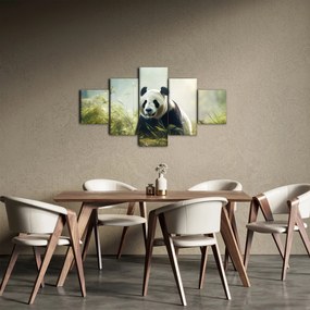 Obraz - Panda (125x70 cm)