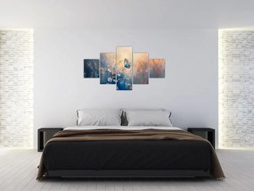 Obraz - Łąka z motylem (125x70 cm)