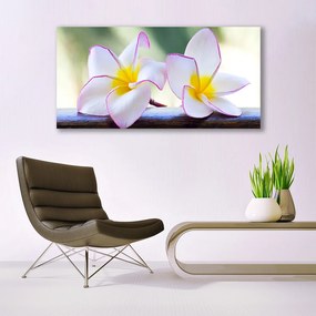 Obraz Akrylowy Kwiaty Płatki Plumeria