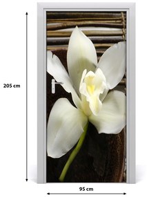 Okleina Naklejka fototapeta na drzwi Orchidea