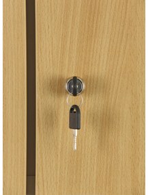 Szafka skrytkowa S1, 4 schowki, 1850 x 300 x 500 mm, demontaż, zamek cylindryczny, drzwi laminowane, orzech