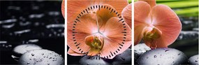 Obraz - Pomarańczowa orchidea z liśćmi palmy (z zegarem) (90x30 cm)