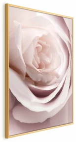 Plakat Porcelanowa róża 40x60 cm z ramą złotą bez marginesu ARTGEIST B