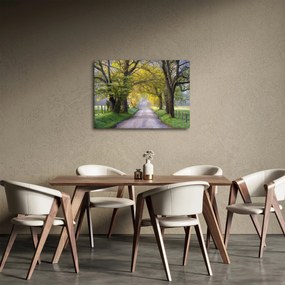 Zdjęcie - Smoky Mountains, Gatlinburg, USA (70x50 cm)