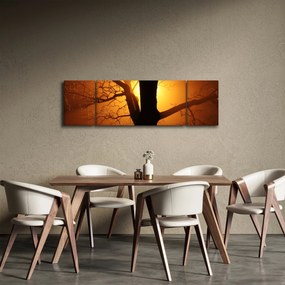 Obraz drzewa o zachodzie słońca (170x50 cm)