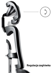 Fotel ergonomiczny Diablo V-Master, czarno-szary