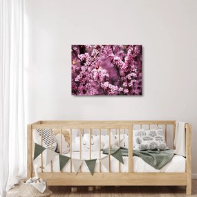 Obraz na szkle - Różowa sakura (70x50 cm)
