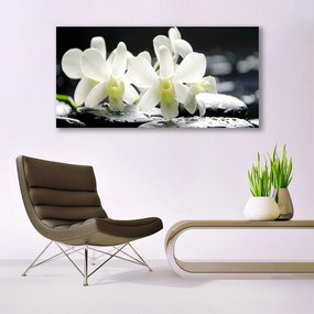 Obraz Canvas Kamienie Kwiaty Orchidea