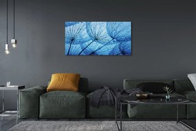 Obraz drukowany na płótnie Puszyste Dmuchawce z Rosą