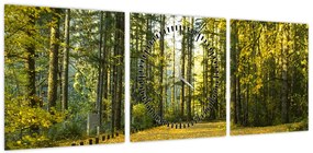 Obraz - las jesienią (z zegarem) (90x30 cm)