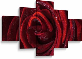Obraz - Czerwona róża z kroplami rosy (125x70 cm)