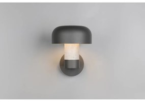 Zewnętrzna lampa ścienna (wysokość 24,5 cm) Fraser – Trio