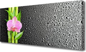 Obraz na płótnie Pędy Bambusa w Rozkwicie