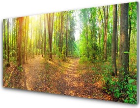 Panel Szklany Słoneczny Prześwit w Lesie