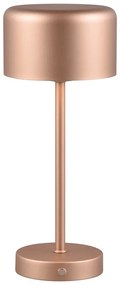 Lampa stołowa LED w kolorze miedzi ze ściemniaczem (wys. 30 cm) Jeff – Trio