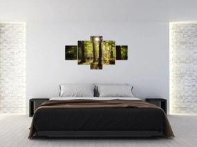 Obraz sennego lasu (125x70 cm)