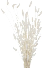 Ozdobne gałązki do wazonu, suszone, 70 cm