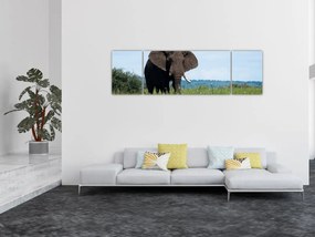 Obraz słonia (170x50 cm)