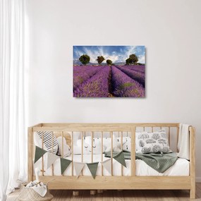 Obraz na szkle - Pole lawendy i góry (70x50 cm)