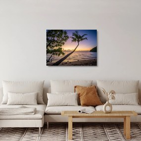 Obraz na szkle palmy na plaży (70x50 cm)
