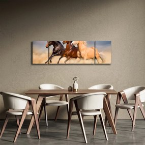 Obraz - Dzikie konie (170x50 cm)